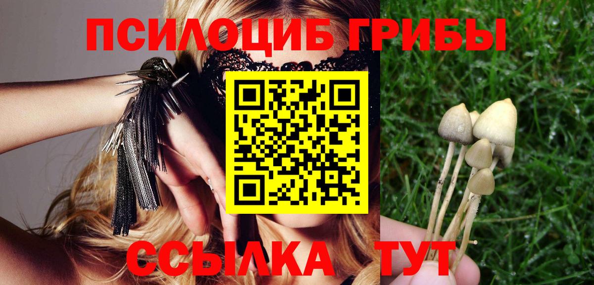 Псилоцибиновые грибы Magic Shrooms Скопин