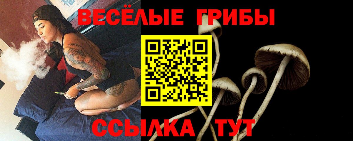 Псилоцибиновые грибы Cubensis  Вход с VPN  цена   Скопин 